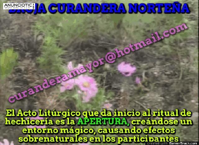 LA UNICA BRUJA CURANDERA NORTEÑA /REALIZA   AMARRES A  DISTANCIA  CON MAGIA