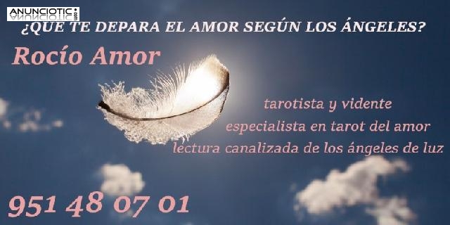 TAROT ¿te preocupa algo el amor?