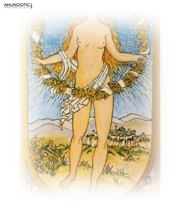 Tarotista Vidente, Tarot Amor Interactivo