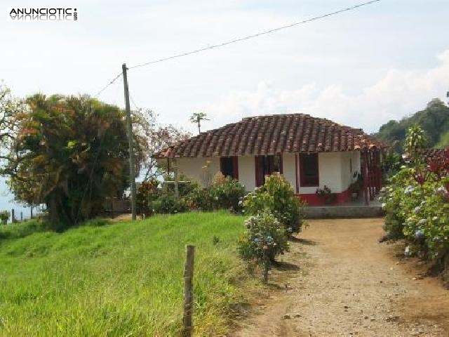 Finca con pequeña vivienda