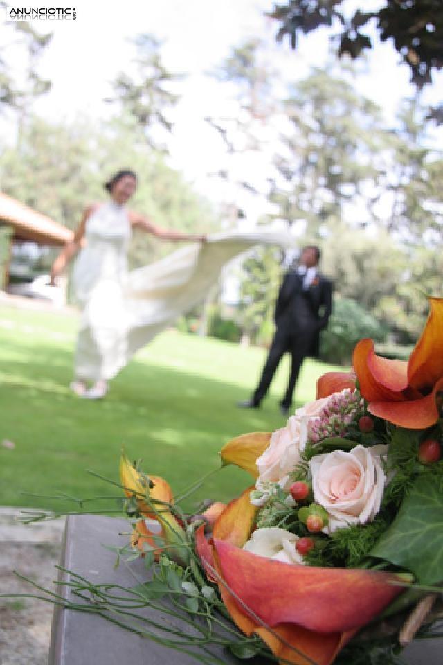 Fotografo profesional y economico, bodas books precio justo Lleida