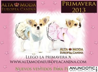 Moda Canina de Primavera, ropa perritos