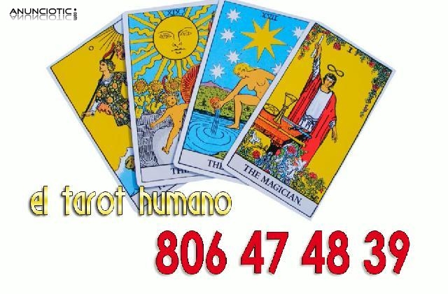 El Tarot Humano, tirada de cartas