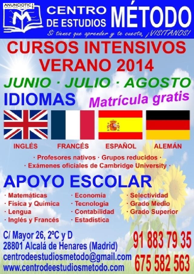 Curso intensivo de inglés, alemán, francés Junio, Julio y Agosto 2014