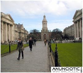 Máster Intensivo en Inglés de Negocios para Ejecutivos en Dublín. Bonificable