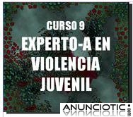 Curso a distancia EXPERTO EN VIOLENCIA JUVENIL