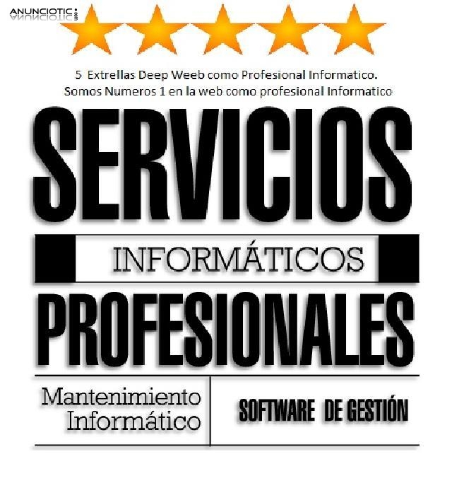 Informatico profesional (603285677 )