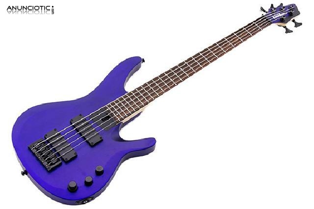 Washburn bb-5 dbl