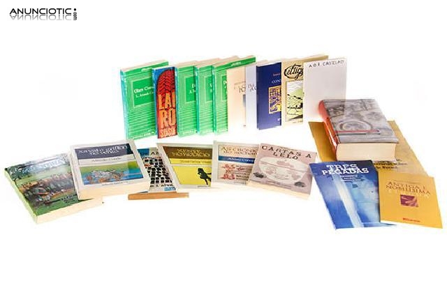 Lote libros en gallego 20 unidades