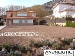 Agrocesped. Césped natural en tepes. Oferta para Madrid