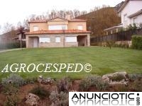 Agrocesped. Césped natural en tepes. Oferta para Madrid