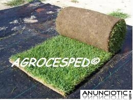 Oferta de AGROCESPED para la Comunidad de Madrid