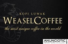 Autentico Cafe Kopi Luvak 