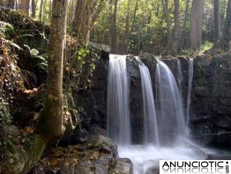 FIN DE SEMANA DE AYURVEDA, YOGA Y COCINA AYURVEDICA EN EL PARQUE NATURAL MO9NTSENY