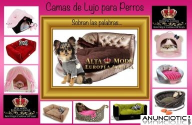 Camas para Perros, Sofas