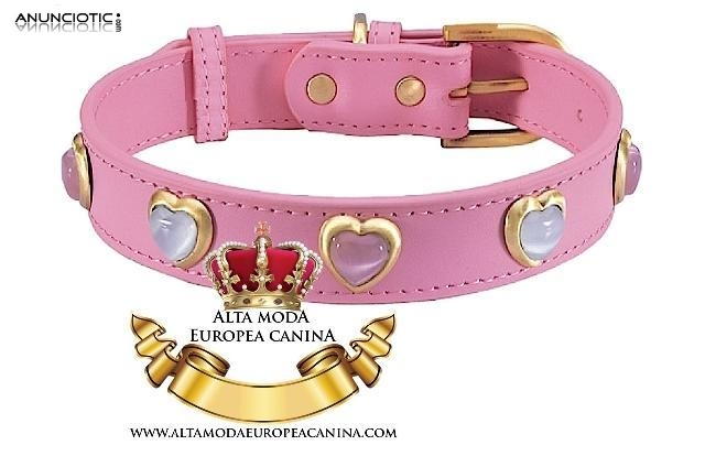 Collares Exclusivos para Perros