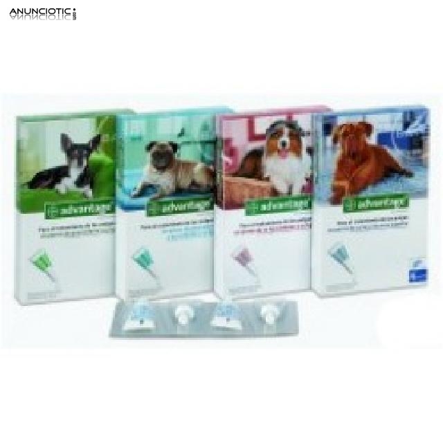 Advantage antipulgas para perros