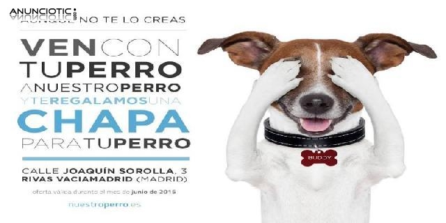 Regalamos chapas identificativas para tu perro