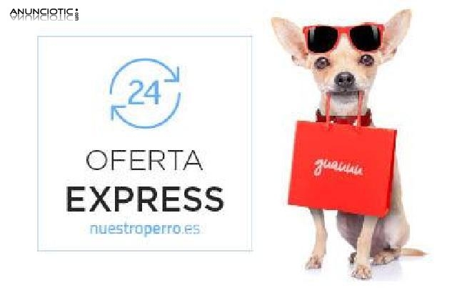 Nuestroperro ofertas express solo 24 horas