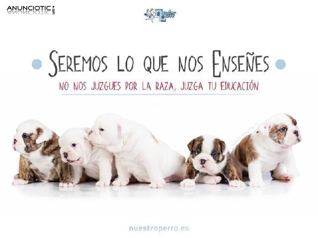 Nuestroperro, tienda para perros