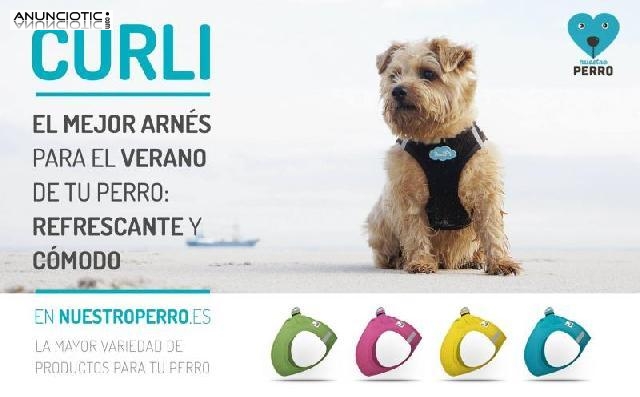 Arenes refrescante para perros en nuestroperro