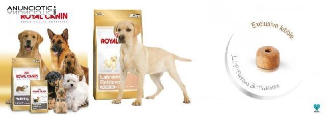 Promoción royal canin mes de julio nuestroperro