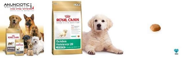 Promoción royal canin mes de julio nuestroperro