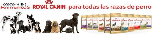 Promoción royal canin mes de julio nuestroperro