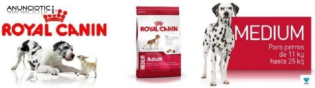 Promoción royal canin medium adult 43 ?