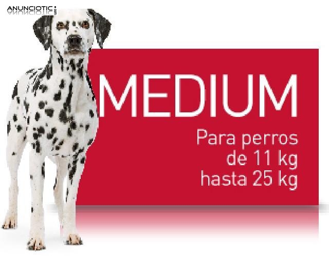 Promoción royal canin medium adult 43 ?