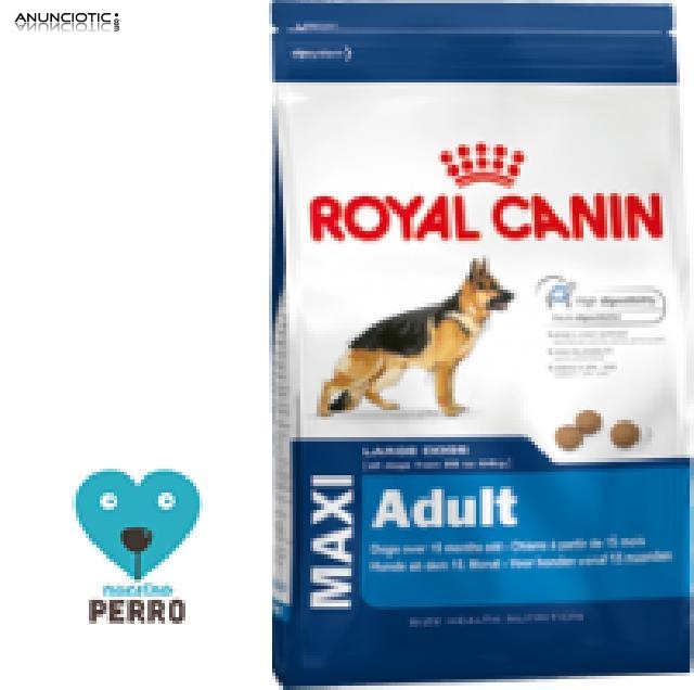 Oferton royal canin maxi adult 43 ?