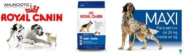 Oferton royal canin maxi adult 43 ?