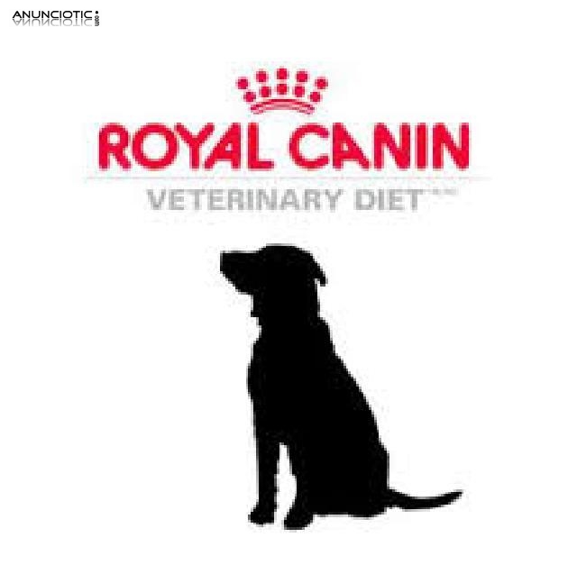 Promoción royal cani en madrid 15 kg 42 euros