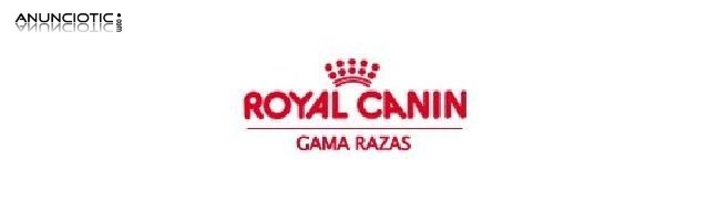 Royal canin madrid, razas 12 kg 43? nuestroperro