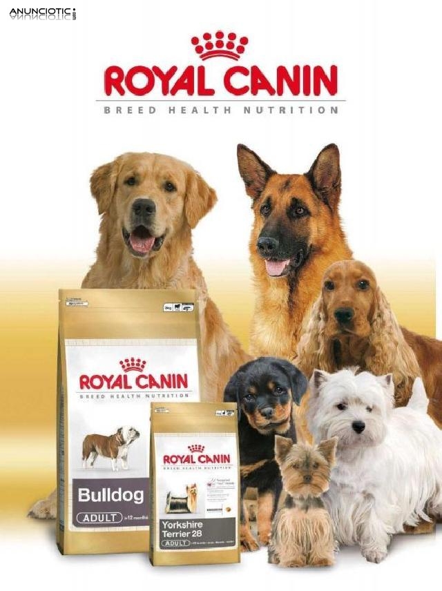 Razas royal canin 12 kg 43 ? en nuestroperro