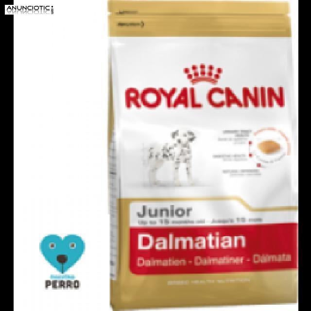 Promoción royal canin razas dalmata 12 kg 43?