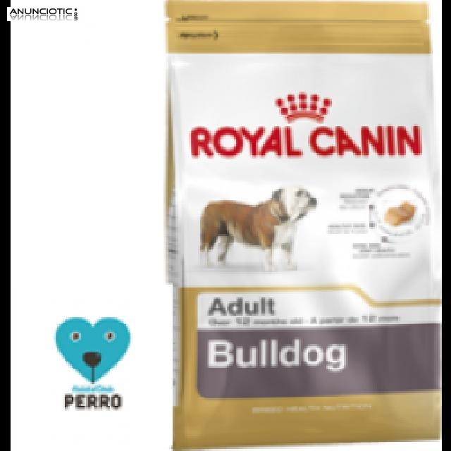 Royal canin bulldog adulto12 kg 43? nuestroperro