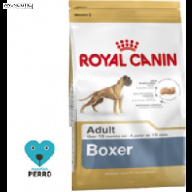 Royal canin boxer adulto12 kg 43? nuestroperro