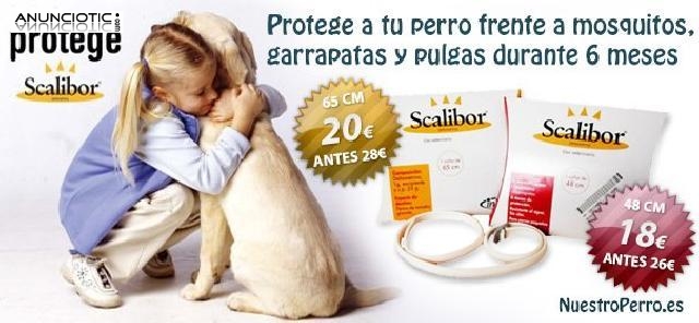 Scalibor 48 cm desde 17 euros