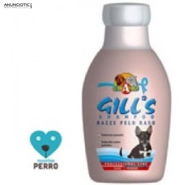 Gill, s champu para pelo corto 700 ml