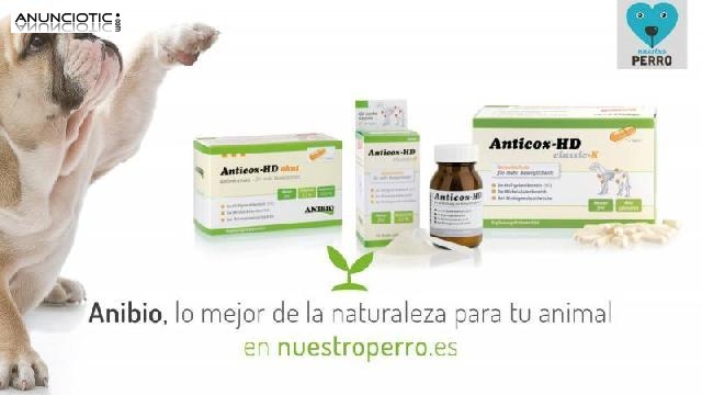 Anibio productos naturales para tu perro, 