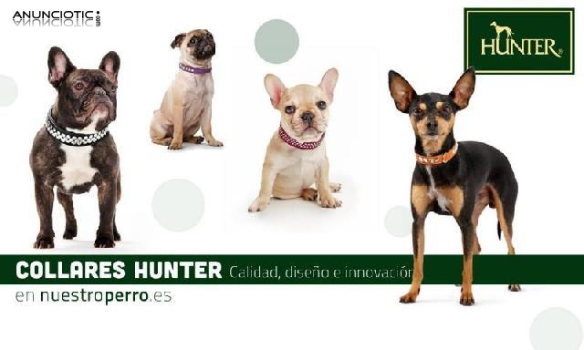 Hunter collares perro en madrid - nuestroperro 