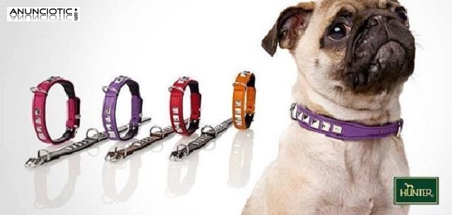 Hunter collares perro en madrid - nuestroperro 