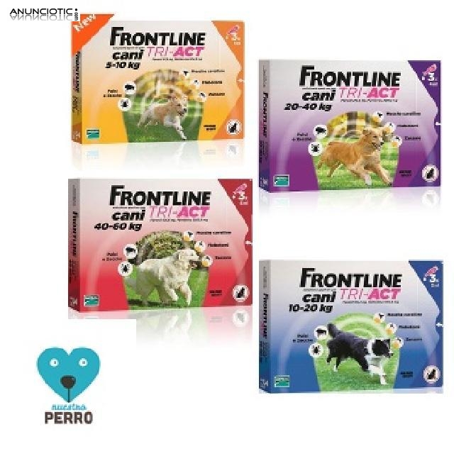 Frontline triple ación en nuestroperro