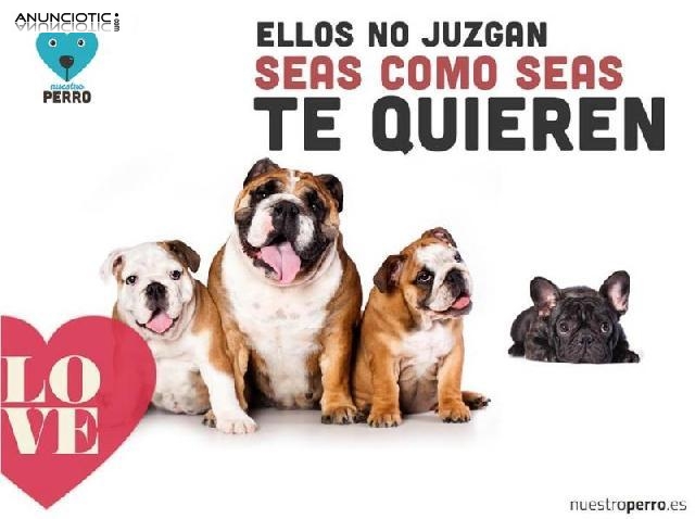 Nuestroperro, más que una tienda de mascotas