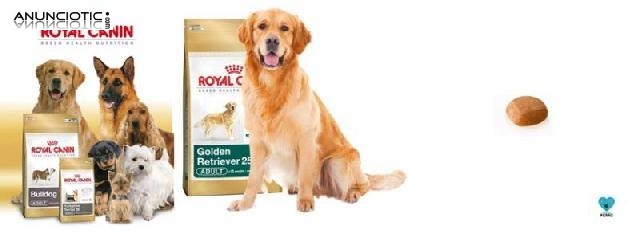 Oferton royal canin golden adulto12 kg 43?