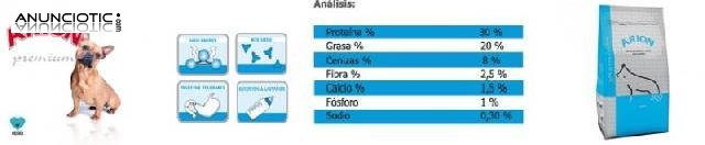 Cachorros de razas medianas