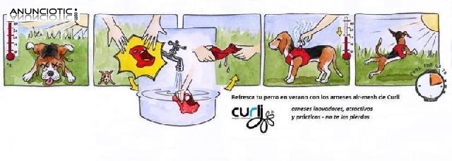 Arenes refrescante para perros en nuestroperro