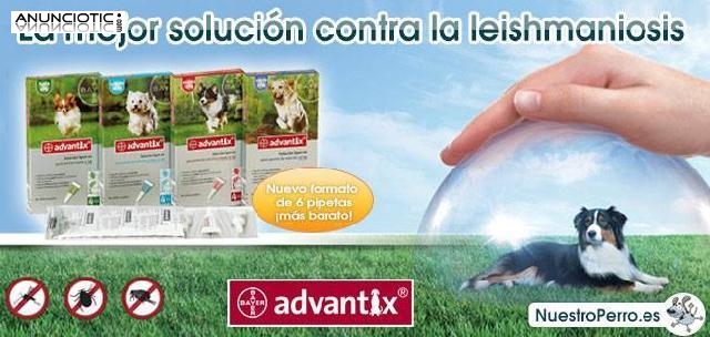 Tienda veterinaria nuestroperro