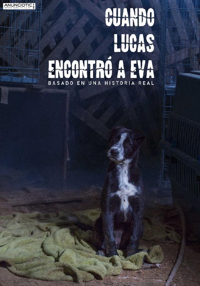 Cuando Lucas encontr a Eva - El Cortometraje